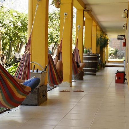 Hostel Lo De Chichi Cafayate Exteriér fotografie